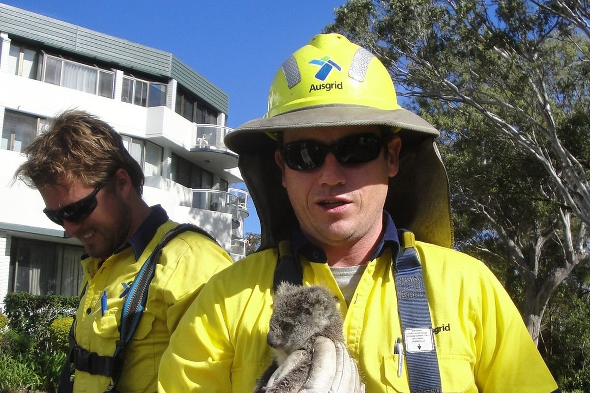 مستشفى صقر الجزيرة الميداني